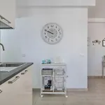 Alegria Πουέρτο Ντελ Κάρμεν